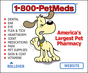 PetMeds Banner Ad Example
